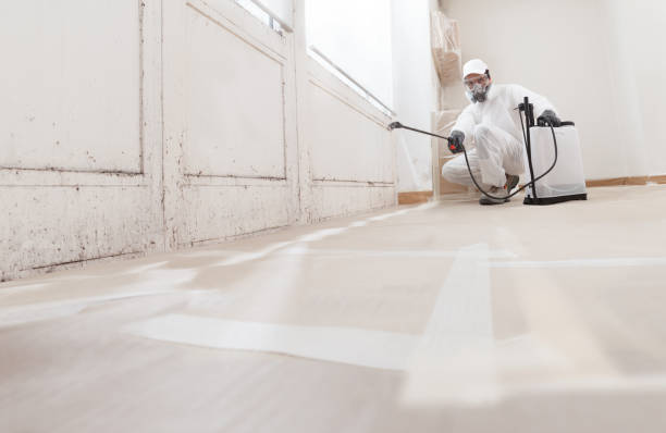 24/7 Emergency Mold Remediation experts in Georgetown, PA